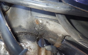 HONDA AX-1 2006 MD21