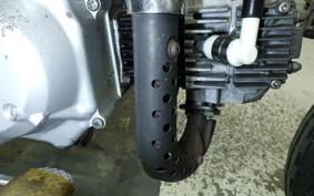 HONDA MONKEY 2026 Z50J