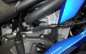 KAWASAKI ZX-4R SE 2024 ZX400P