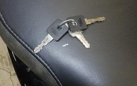 HARLEY XL1200NS 2019