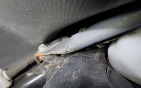 HONDA GYRO CANOPY TA03