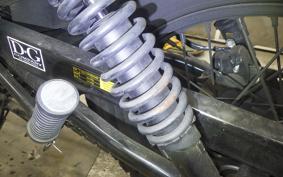 OTHER +UNREGISTERED MODEL by BDS250 1992