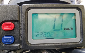 YAMAHA TT250RRAID 4GY