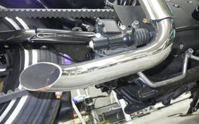 HARLEY XL883N 2015