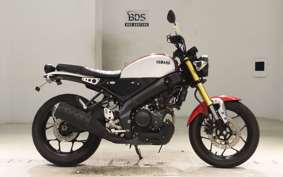 YAMAHA XSR155 2019