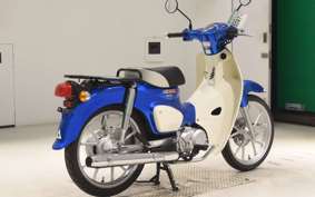 HONDA C110 SUPER CUB