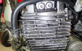HONDA XR-250 GEN 2 2026 MD30