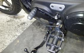 OTHER +HD. XL1200X 2019