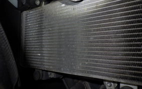 KAWASAKI NINJA 250 2025 EX250L