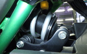 KAWASAKI Z650 A 2024 ER650S