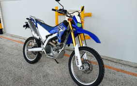 YAMAHA WR250R DG15J