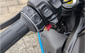 BMW S1000R 2025 0P31