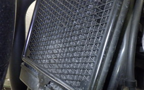 TRIUMPH BONNEVILLE T100 2018