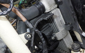 HONDA PS250 2008 MF09