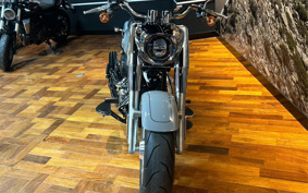 HARLEY  HARLEY FLFBS 2025 YGK