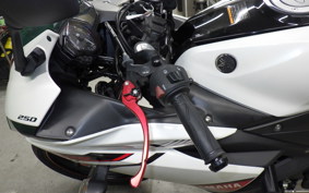 YAMAHA YZF-R25 1996 RG10J