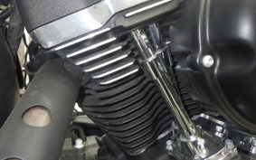 HARLEY FXBB1750 2020