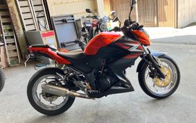 KAWASAKI Z250 ER250C