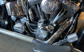HARLEY HARLEY FLSTC 2005 BJY