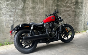 HARLEY  HARLEY RH975 NIGHT  STAR  2024 ZH1