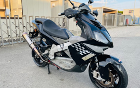 OTHER DERBI GP1 250 RACING VTHPT1A1A