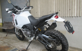 DUCATI DESERT X 2022 1X00