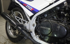 HONDA VT250FE 2017 MC08