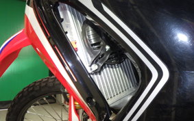 HONDA CRF250 RALLY LD 2013 MD44