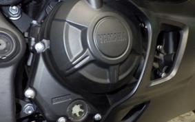 YAMAHA YZF R-3 2024 RH21J