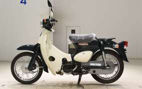 HONDA LITTLE CUB E AA01
