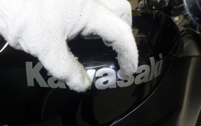 KAWASAKI NINJA ZX-6R A 2026 ZX636J