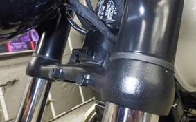 TRIUMPH BONNEVILLE T100 2025