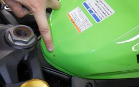 KAWASAKI ZX-4RR 2023 ZX400P