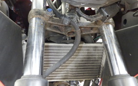 HONDA CBR250R GEN 3 MC41