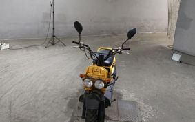 HONDA ZUMAR AF58