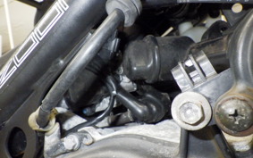 HONDA ZOOMER 1998 AF58