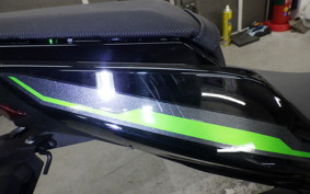 KAWASAKI Z250 Gen.2 2024 EX250Y