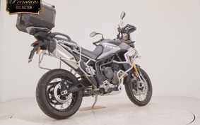 TRIUMPH TIGER900 RALLYARACO 2024