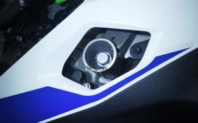 KAWASAKI ZX-4RR 2024 ZX400P