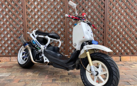 HONDA ZOOMER 2009 AF58