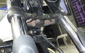 TRIUMPH BONNEVILLE T100 2021