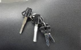 YAMAHA YZF-R15 RG86J