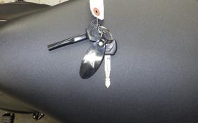 HONDA REBEL 250 A MC49