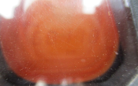 HONDA CB400 SUPER  BOL D`OR ABS 2015 NC42