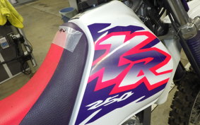 HONDA XR250 1997 MD30