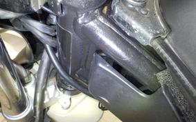 YAMAHA SEROW 250 Gen.2 2007 DG17J