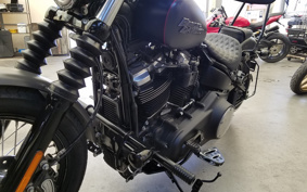 HARLEY FXBB 2019 YJJ