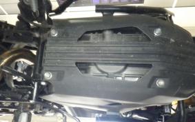 BMW G310GS 2024