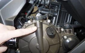 SUZUKI ｼﾞｸｻｰ250SF 2019