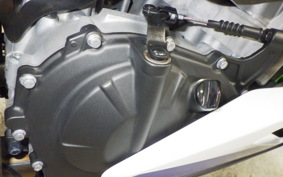 KAWASAKI ZX-4RR 2024 ZX400P